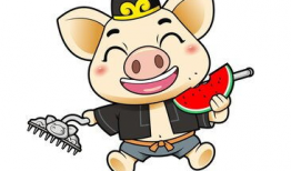 八戒动漫,趣味横生的奇幻冒险之旅